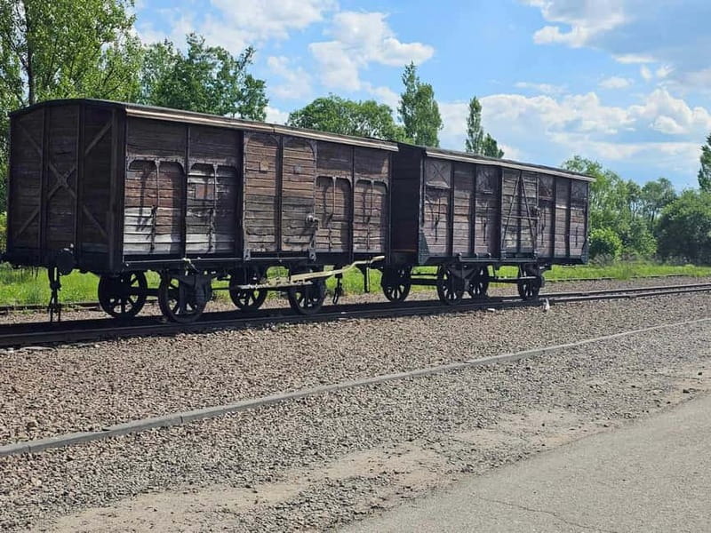 From Krakow: Auschwitz-Birkenau Guided Tour with Pickup - Why Auschwitz-Birkenau requires a full day from Krakow