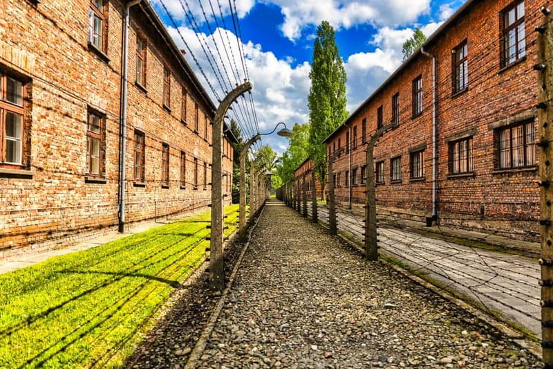 From Krakow: Auschwitz-Birkenau Guided Tour with Transport - Why this day from Krakow matters