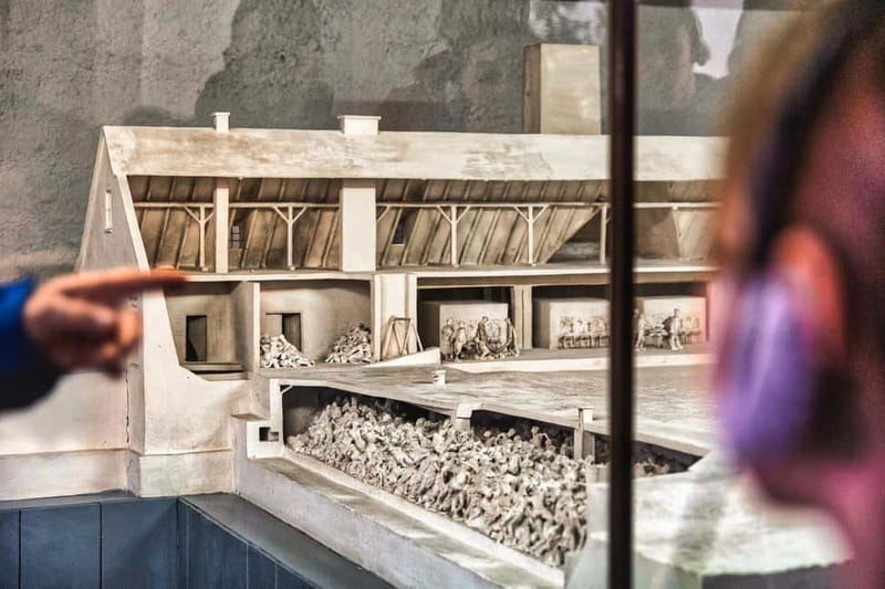 From Krakow: Auschwitz-Birkenau Guided Tour with Transport - Should you book this Auschwitz-Birkenau tour?