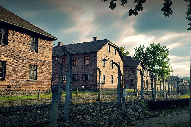 From Krakow: Auschwitz-Birkenau: Guided Tours & Private Transport - Who should choose this Krakow tour