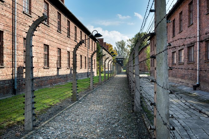 From Krakow: Auschwitz-Birkenau Memorial and Museum Guided Tour - Why the museum guide matters