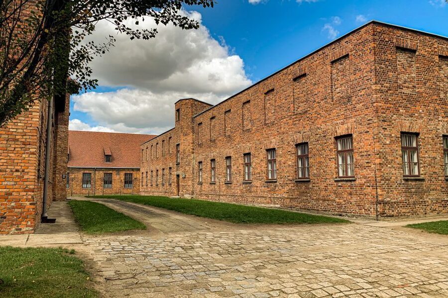 From Krakow: Auschwitz-Birkenau Memorial and Museum Tour - Should You Book It?