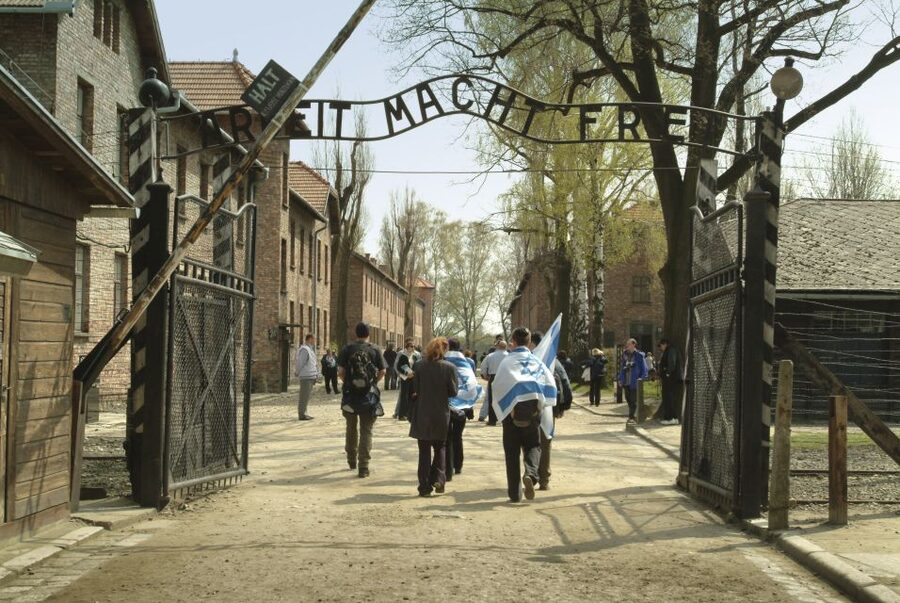 From Krakow: Auschwitz-Birkenau Memorial and Museum Tour - Leaving Krakow for a Seven-Hour Visit