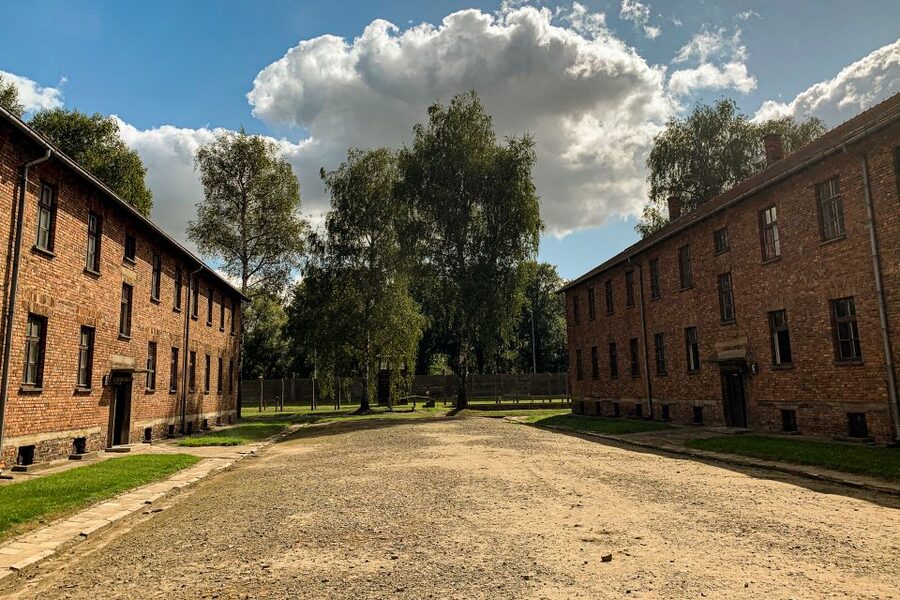 From Krakow: Auschwitz-Birkenau Memorial and Museum Tour - Birkenau: Scale, Silence, and the Camp Remains