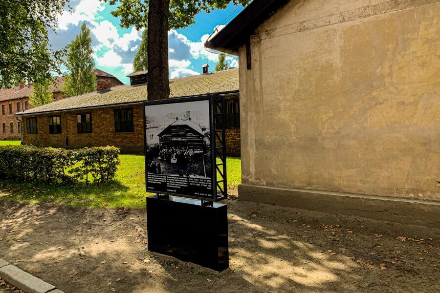 From Krakow: Auschwitz-Birkenau Memorial and Museum Tour - Liberation, Memory, and the Documentary Film