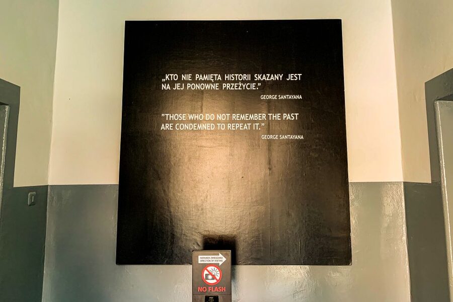 From Krakow: Auschwitz-Birkenau Memorial and Museum Tour - What the $81 Price Buys You