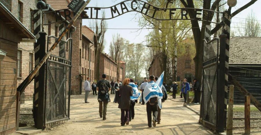 From Krakow: Auschwitz-Birkenau Memorial and Museum Tour - Bags, Identification, and Clothing