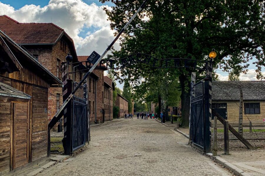 From Krakow: Auschwitz-Birkenau Memorial and Museum Tour - Who Should Book This Tour?