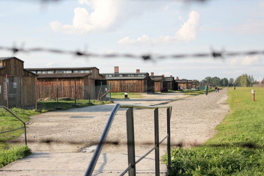 From Kraków: Auschwitz-Birkenau Memorial Guided Tour - Key points to know before you book