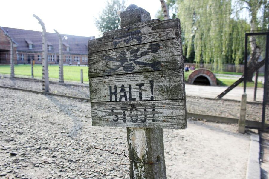 From Kraków: Auschwitz-Birkenau Memorial Guided Tour - The 1.5-hour bus journey