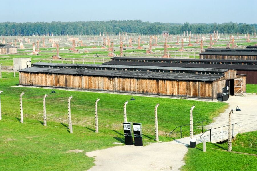 From Kraków: Auschwitz-Birkenau Memorial Guided Tour - What the 3.5-hour museum visit feels like