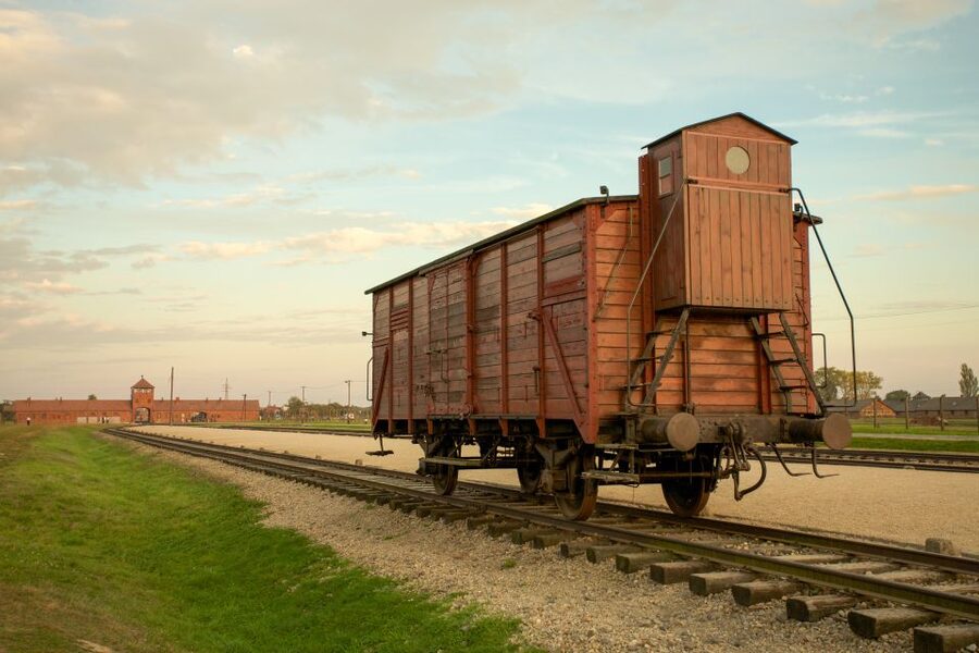 From Kraków: Auschwitz-Birkenau Memorial Guided Tour - The group size and guide arrangement