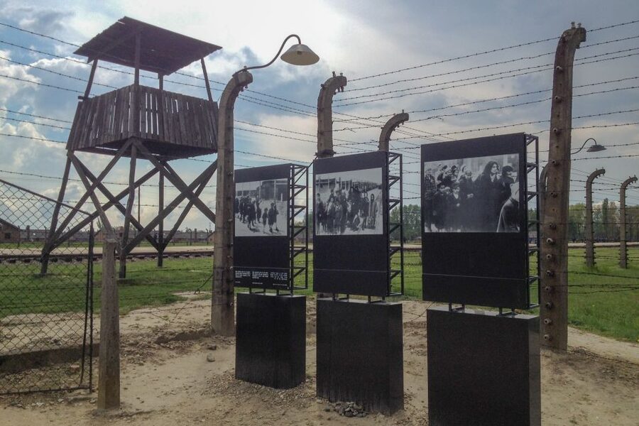 From Krakow: Auschwitz-Birkenau Private or Shared Tour - The 15-minute break and short transfer