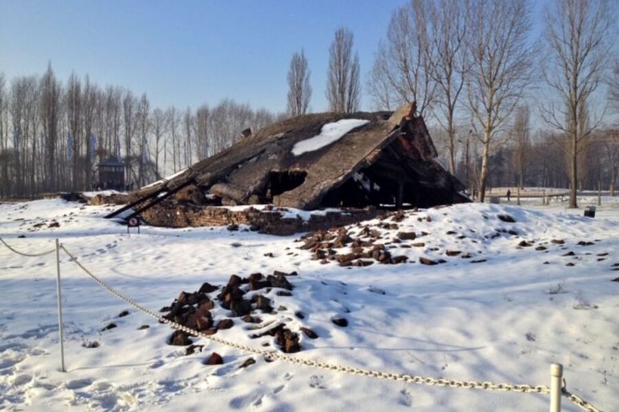 From Krakow: Auschwitz-Birkenau Private or Shared Tour - Private guide, shared tour, or private transport?