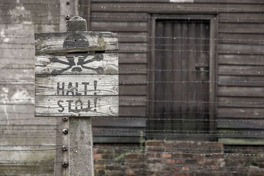 From Krakow: Auschwitz-Birkenau & Schindler's Factory Tour - Transport is convenient, but expect a long day