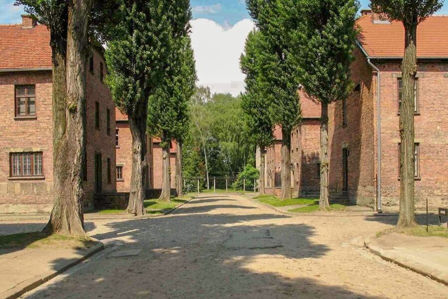 From Krakow: Auschwitz-Birkenau & Schindler's Factory Tour - The final drop-off requires a little planning