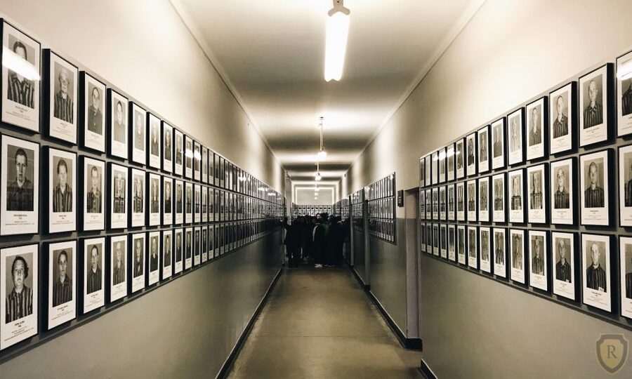 From Krakow: Auschwitz Birkenau Self-Guided Tour - Who should choose this format?