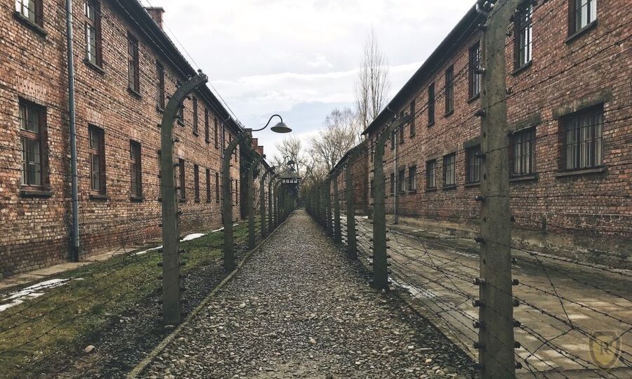 From Krakow: Auschwitz Birkenau Self-Guided Tour - The Judenrampe gives the day an early sense of scale