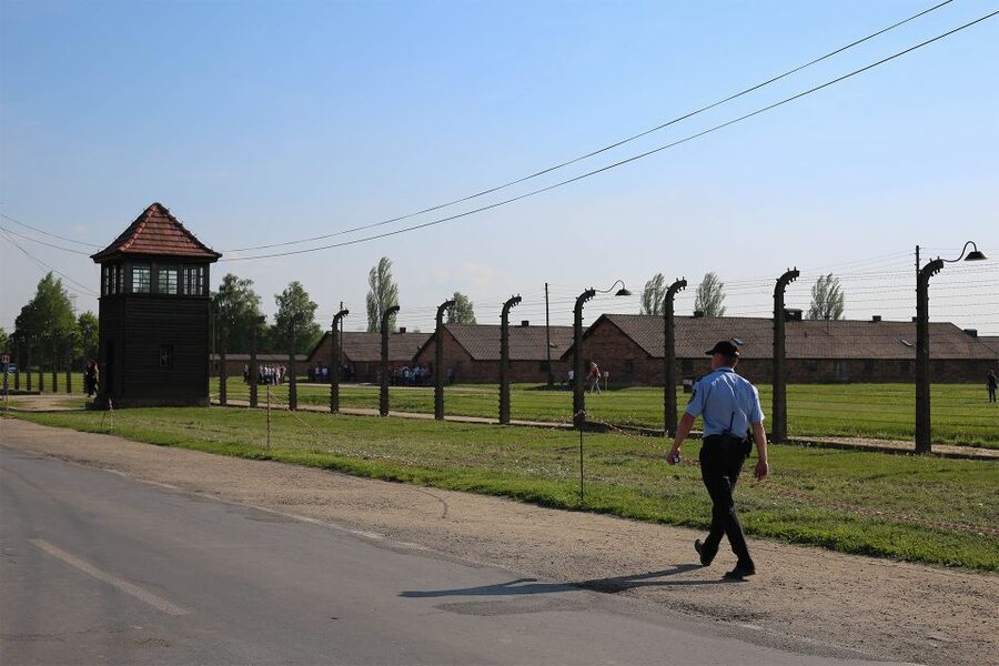 From Krakow: Auschwitz Birkenau Small Group Tour with Pickup - Birkenau: scale that numbers cannot convey