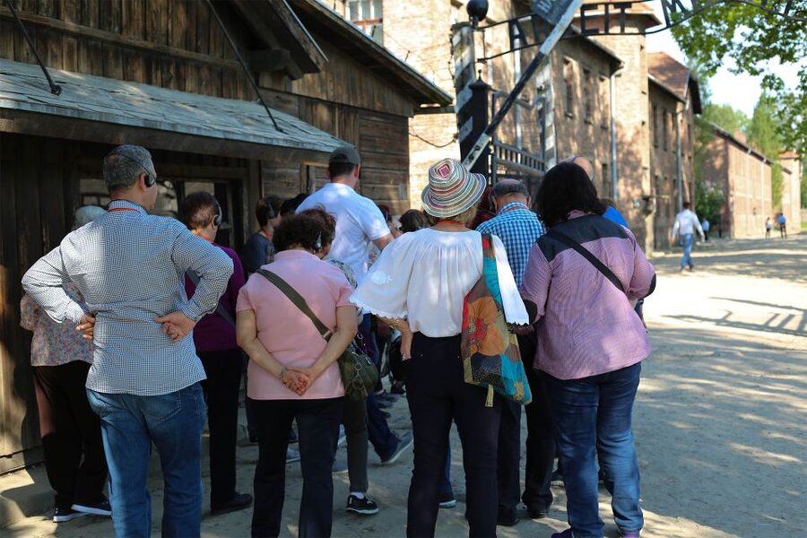 From Krakow: Auschwitz Birkenau Small Group Tour with Pickup - Who will appreciate this Auschwitz tour