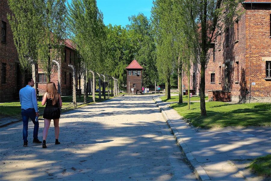 From Krakow: Auschwitz Birkenau Small Group Tour with Pickup - From Krakow to the museum by minivan