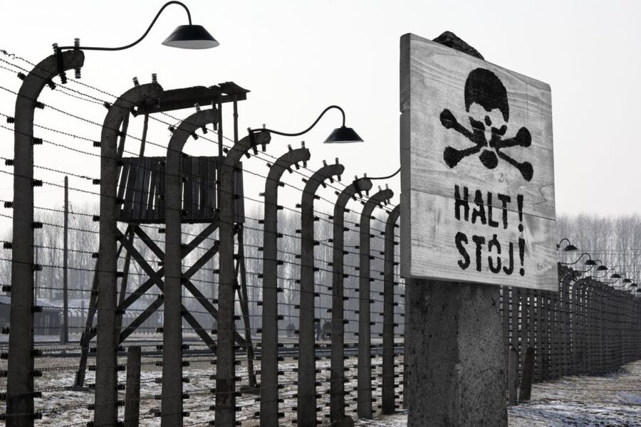 From Krakow: Auschwitz-Birkenau Tour - Timing, queues, and the short break