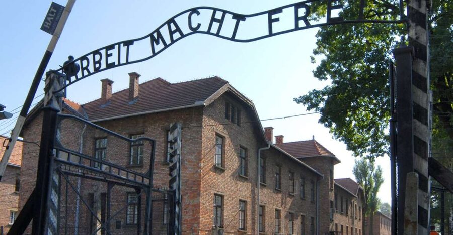 From Krakow: Auschwitz-Birkenau Tour - Who will get the most from this tour