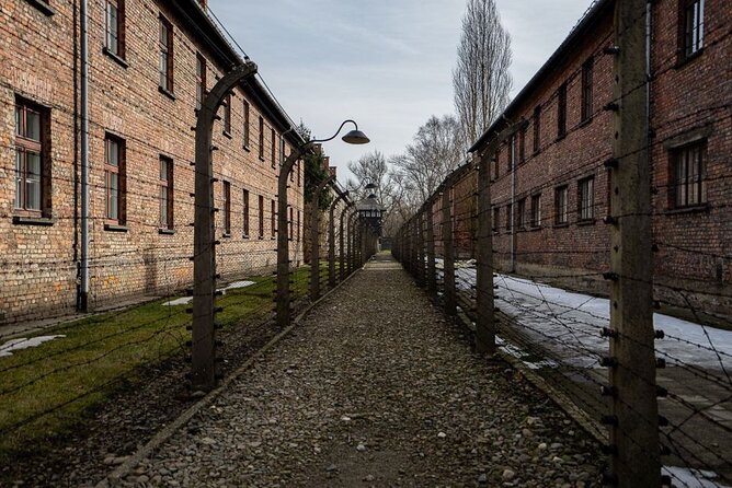 From Kraków: Auschwitz-Birkenau Tour with Lunch Box and Pick Up - Who should book this Auschwitz-Birkenau tour?