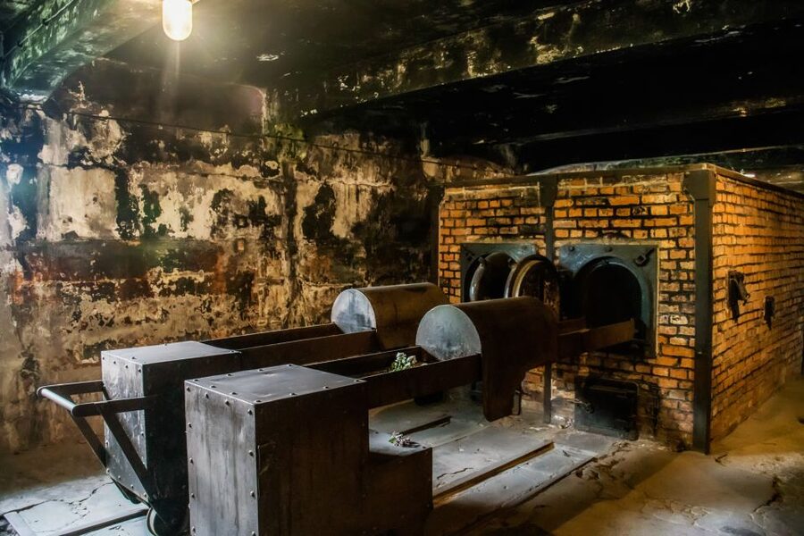 From Krakow: Auschwitz-Birkenau Tour with Transportation - Price and value at $38