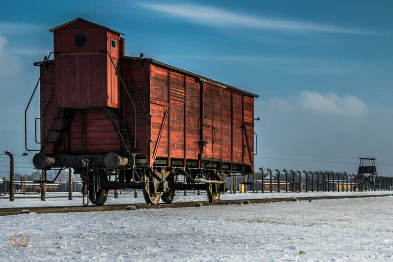 From Krakow: Auschwitz-Birkenau Tour with Transportation - Auschwitz II-Birkenau: wide space, heavy silence