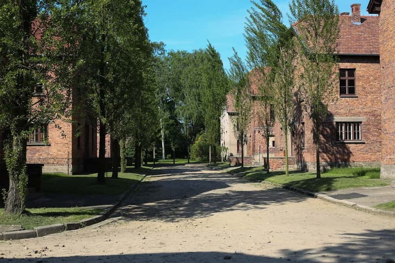 From Krakow: Auschwitz Museum and Wieliczka Salt Mine Tour - Who Should Choose This Combination?