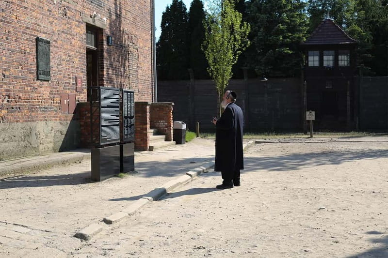 From Krakow: Auschwitz Museum and Wieliczka Salt Mine Tour - St. Kinga’s Chapel and the Underground Chambers