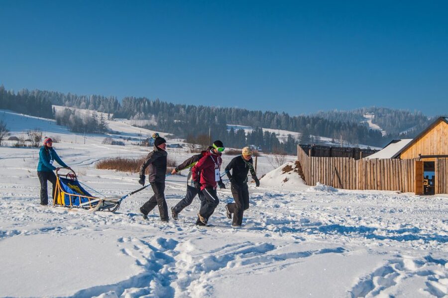 From Krakow: Dogsled Ride in Tatra Mountain - The guides and the human side of the outing