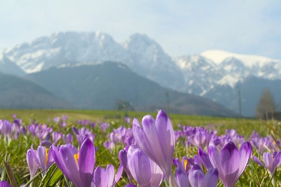 From Krakow: Full-Day Tour of Zakopane and Tatra Mountains - The two-hour ride from Krakow