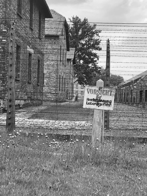 From Krakow: Guided Auschwitz-Birkenau Group Tour by Minivan - What the $68 price really buys you
