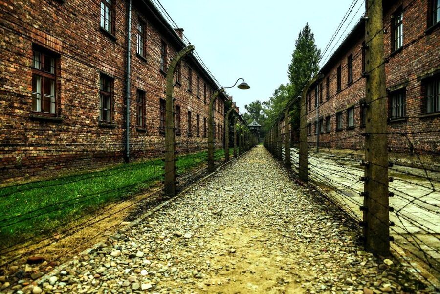 From Krakow: Guided Auschwitz-Birkenau Group Tour by Minivan - The minivan ride and the first look at Auschwitz