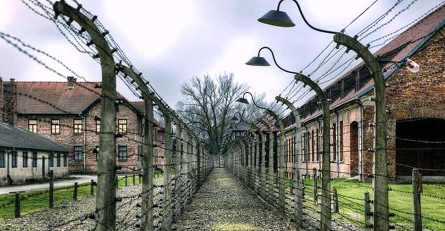 From Krakow: Guided Auschwitz-Birkenau Group Tour by Minivan - Birkenau: scale, barracks, and the watchtower view