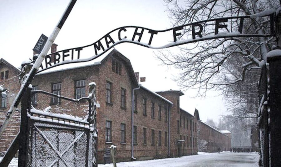 From Krakow: Guided Auschwitz-Birkenau Group Tour by Minivan - The guide makes the difference, but the group size matters