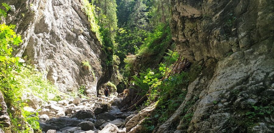 From Krakow: Hiking in the Tatra Mountains and Thermal baths - Is $167 a fair price?