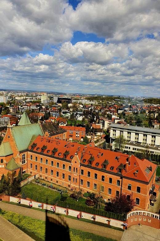 From Krakow: Lagiewniki Sanctuary of The Divine Mercy Tour - The Observation Tower and its broad Krakow views