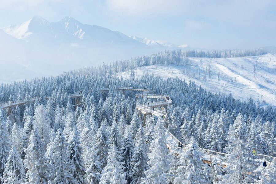 From Krakow: Morskie Oko and Slovakia Treetop Walk - Practical planning for the day