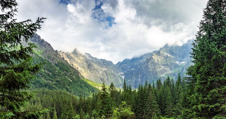 From Krakow: Morskie Oko and Slovakia Treetop Walk - Is $251 a fair price?