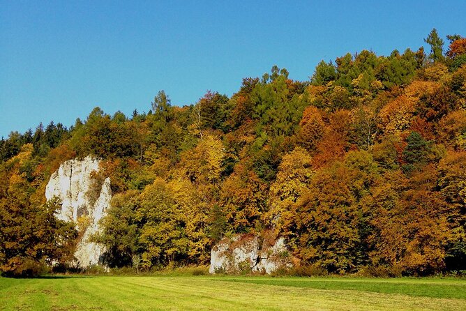 From Krakow: Ojcow National Park and Pieskowa Skala Castle - Why Ojców makes a smart half-day from Krakow
