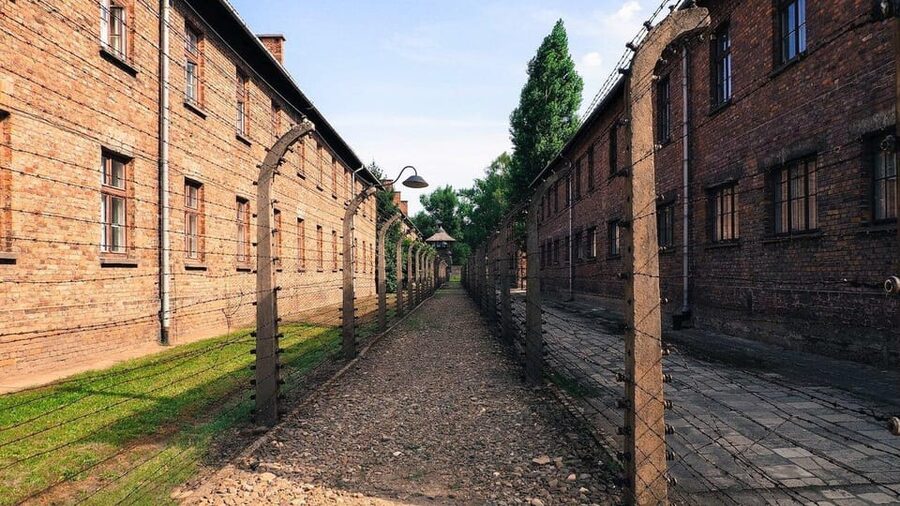 From Krakow: Roundtrip Transportation to Auschwitz Birkenau - Leaving Krakow by private car or small group vehicle