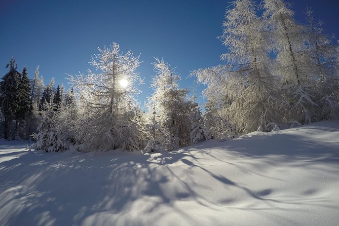 From Krakow: Siepraw Skiing for Beginners - Booking, cancellations, and practical timing