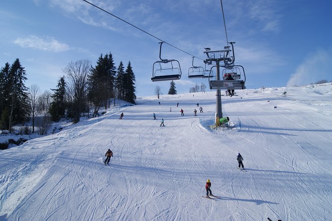 From Kraków: Slovakia Treetop Walk and Bachledka Ski - The Bachledka treetop walkway