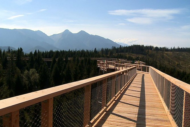 From Kraków: Slovakia Treetop Walk Bachledka and Zakopane - The uphill walk, cableway, and slide