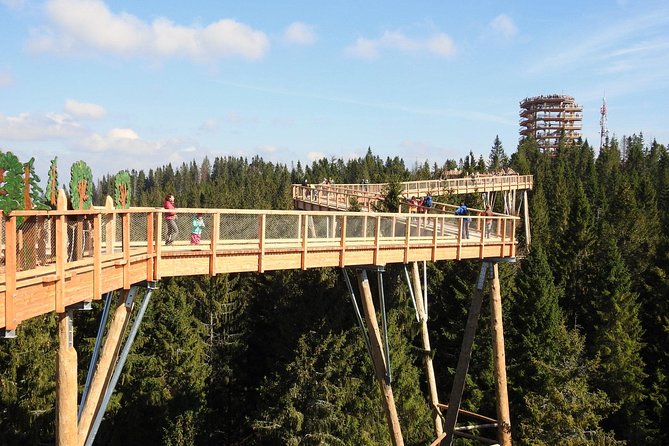 From Kraków: Slovakia Treetop Walk Bachledka and Zakopane - Crossing from Kraków into Slovakia