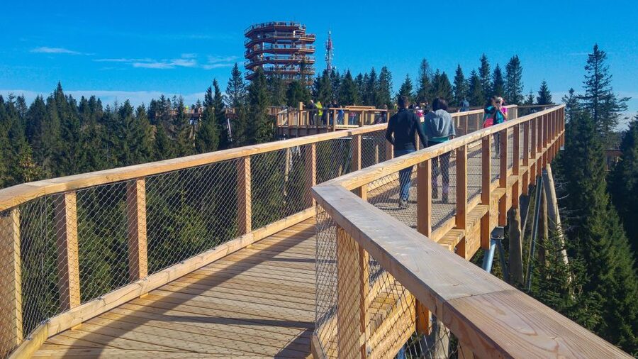 From Krakow: Slovakia Treetop Walk, Zakopane & Thermal Spa - Does the $318 price offer good value?