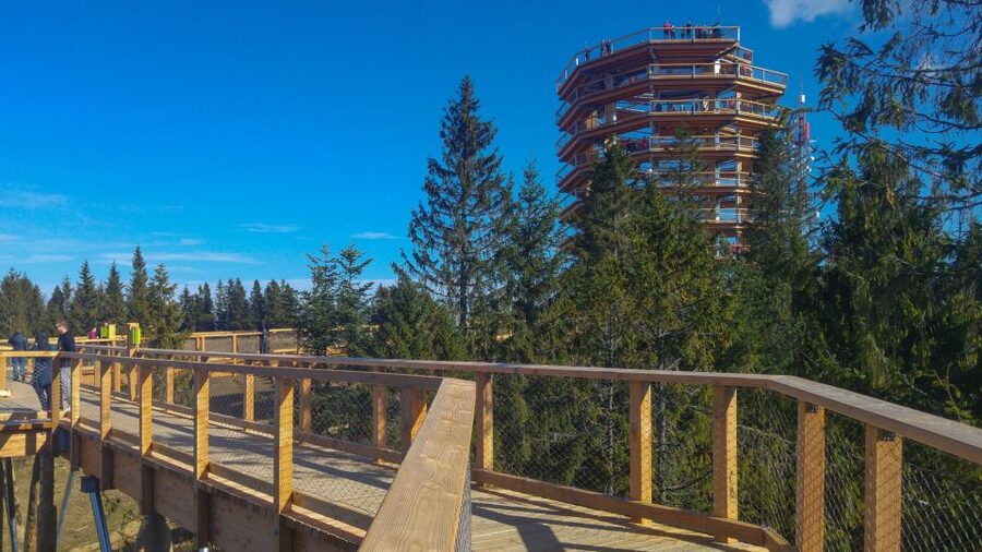 From Krakow: Slovakia Treetop Walk, Zakopane & Thermal Spa - Zakopane gives you two hours in Poland’s mountain capital
